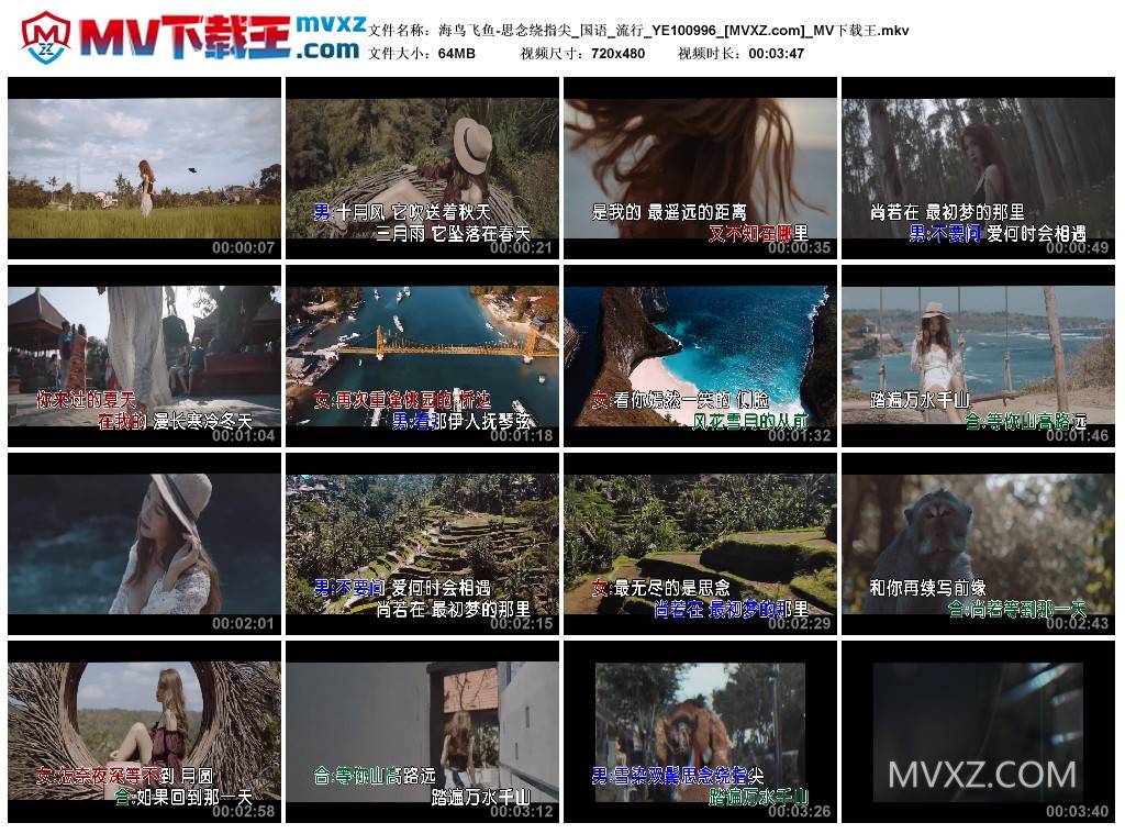 海鸟飞鱼-思念绕指尖_国语_流行_YE100996
